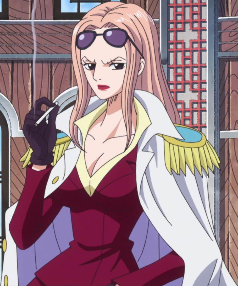 Hina One Piece Wiki FANDOM Powered By Wikia