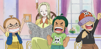 Kaya One Piece Wiki Fandom