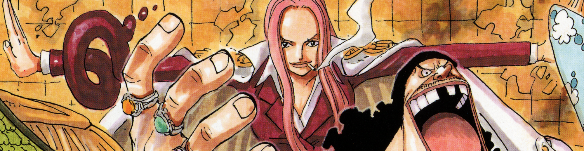 Hina One Piece Wiki Fandom