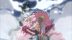 Kuzan ferma Do Flamingo