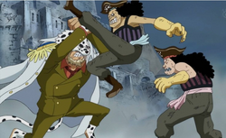 Dalmatian vs Decalvan Brother