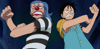 Luffy and Buggy Team Up