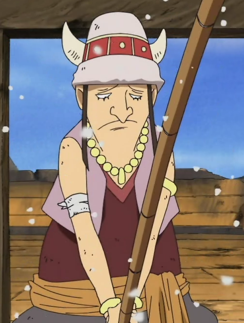 Imagen  Race Anime Infobox.png  One Piece Wiki  FANDOM powered by Wikia