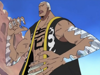 Supa Supa no Mi Anime Infobox