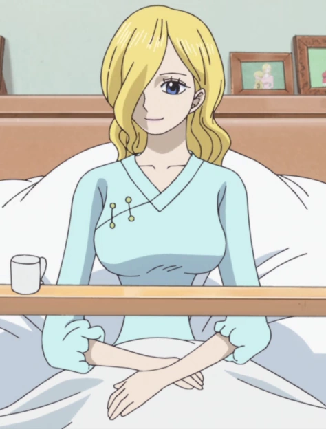 Vinsmoke Sora One Piece Wiki Italia Fandom
