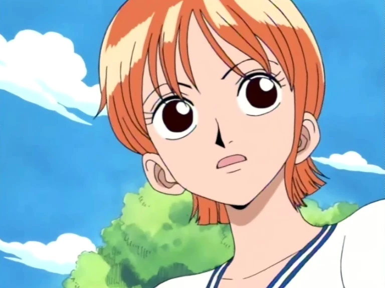 One Piece Nami Nach 2 Jahren