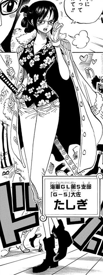 Tashigi One Piece Wiki Fandom