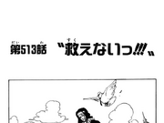 Chapter 513 One Piece Wiki Fandom