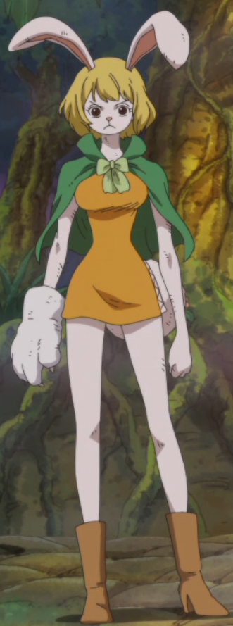 Carrot One Piece Wiki Fandom