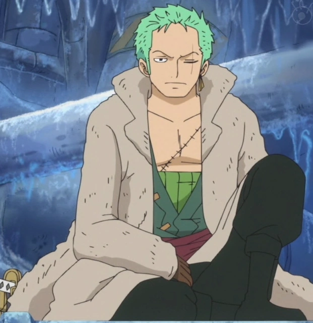 Image Zoro Outfit Punk Hazard.png One Piece Wiki FANDOM powered by Wikia