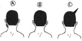 SBS69 1 Quiz