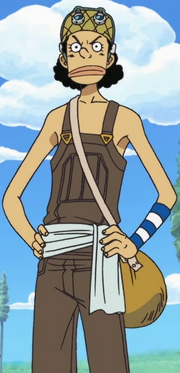 Usopp Anime Pre Timeskip Infobox
