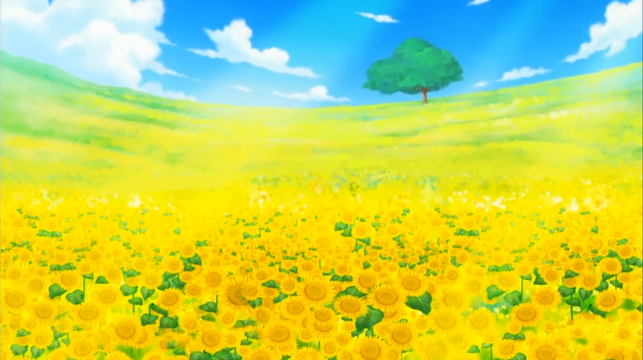 Champ De Fleurs One Piece Encyclopedie Fandom