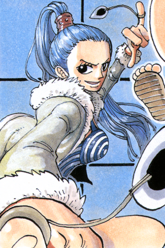 Nefertari Vivi One Piece Wiki Fandom