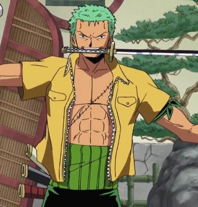 Imagen Vestimenta de Zoro en Enies Lobby.png One Piece Wiki