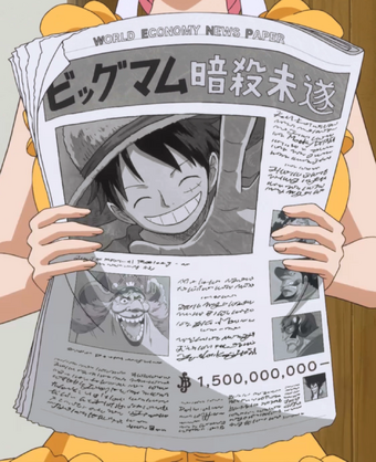 Newspaper One Piece Wiki Fandom
