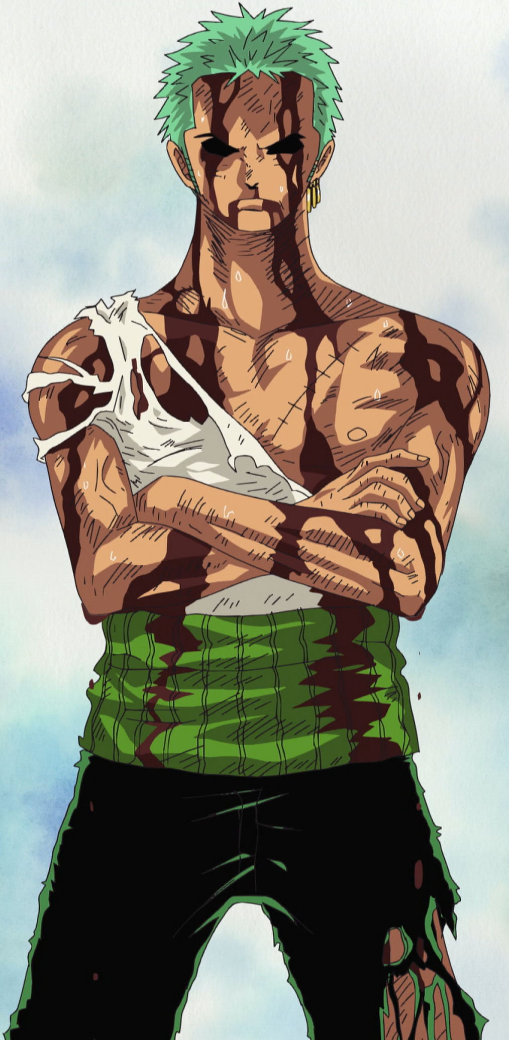 Roronoa Zoro Abilities And Powers One Piece Wiki Fandom
