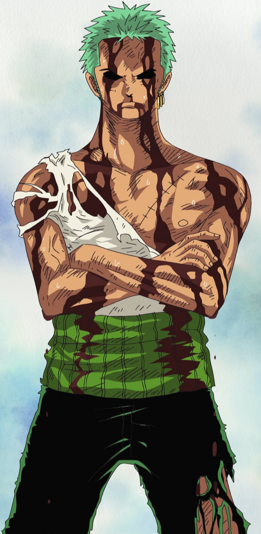 Roronoa Zoro/Abilities and Powers One Piece Wiki FANDOM powered by
