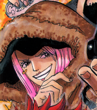 Jewelry Bonney One Piece Wiki Fandom