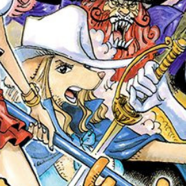 Wanda One Piece Wiki Fandom