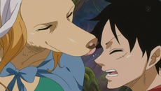 Wanda lame a Luffy