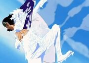 250px-Ao Kiji vs Luffy.