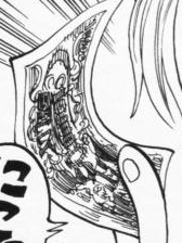Berry Chapter 95