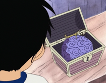 Gomu Gomu no Mi in Chest