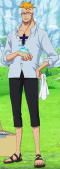 Marco Anime Post Timeskip Infobox