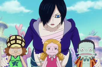 Shyarly One Piece Wiki Fandom