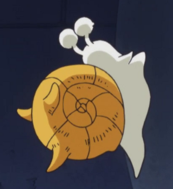 Den Den Mushi One Piece Wiki Fandom