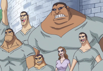 Race One Piece Wiki Fandom