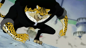 Rob