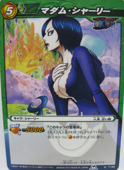 Image Madame Shyarly Carddass png One Piece Wiki FANDOM Powered 