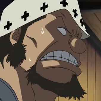 Doctor One Piece Wiki Fandom