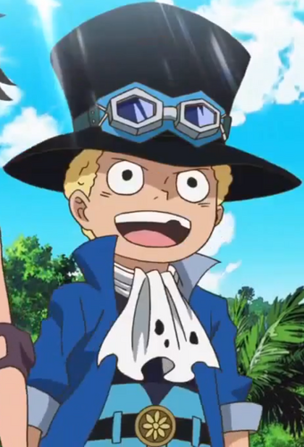 Sabo One Piece Wiki Fandom