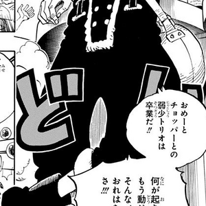 Discuss Everything About One Piece Wiki Fandom