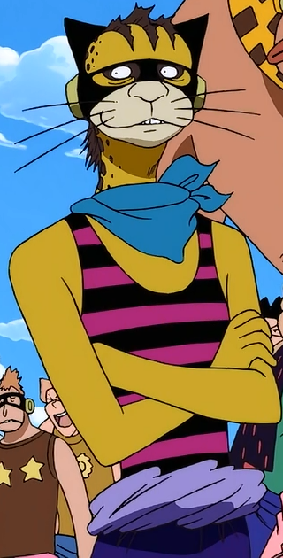 cheetah one piece