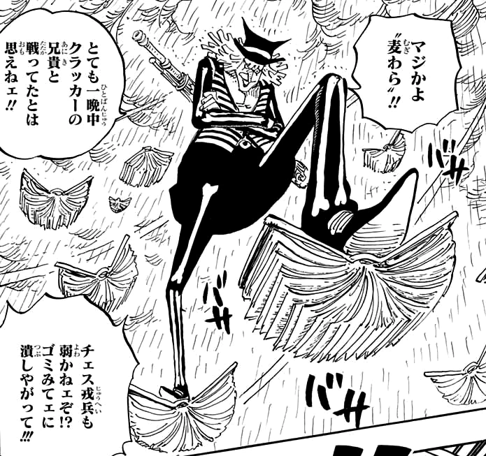 Mont D Or One Piece