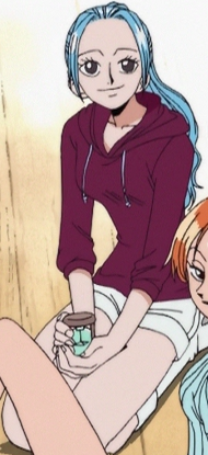 Nefertari Vivi One Piece Wiki Fandom