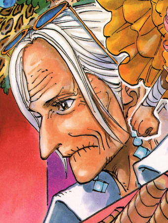 Tsuru One Piece Wiki Fandom