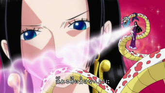 One Day One Piece Wiki Fandom