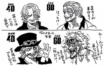 Sabo One Piece Encyclopedie Fandom
