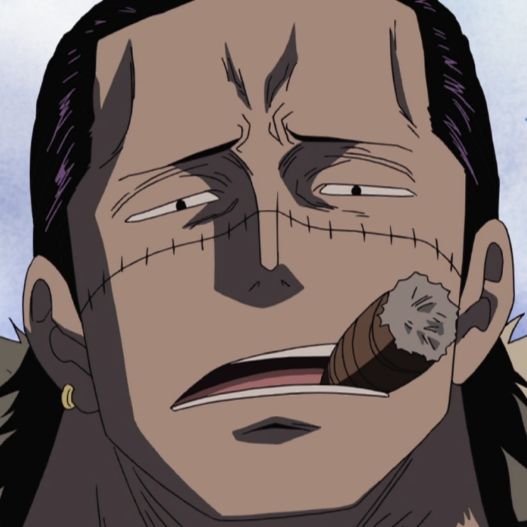 Baroque Works One Piece Wiki FANDOM powered by Wikia