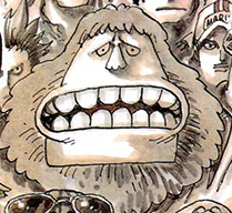 Jaguar D Saul One Piece Wiki Fandom