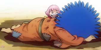 Toko One Piece Wiki Fandom