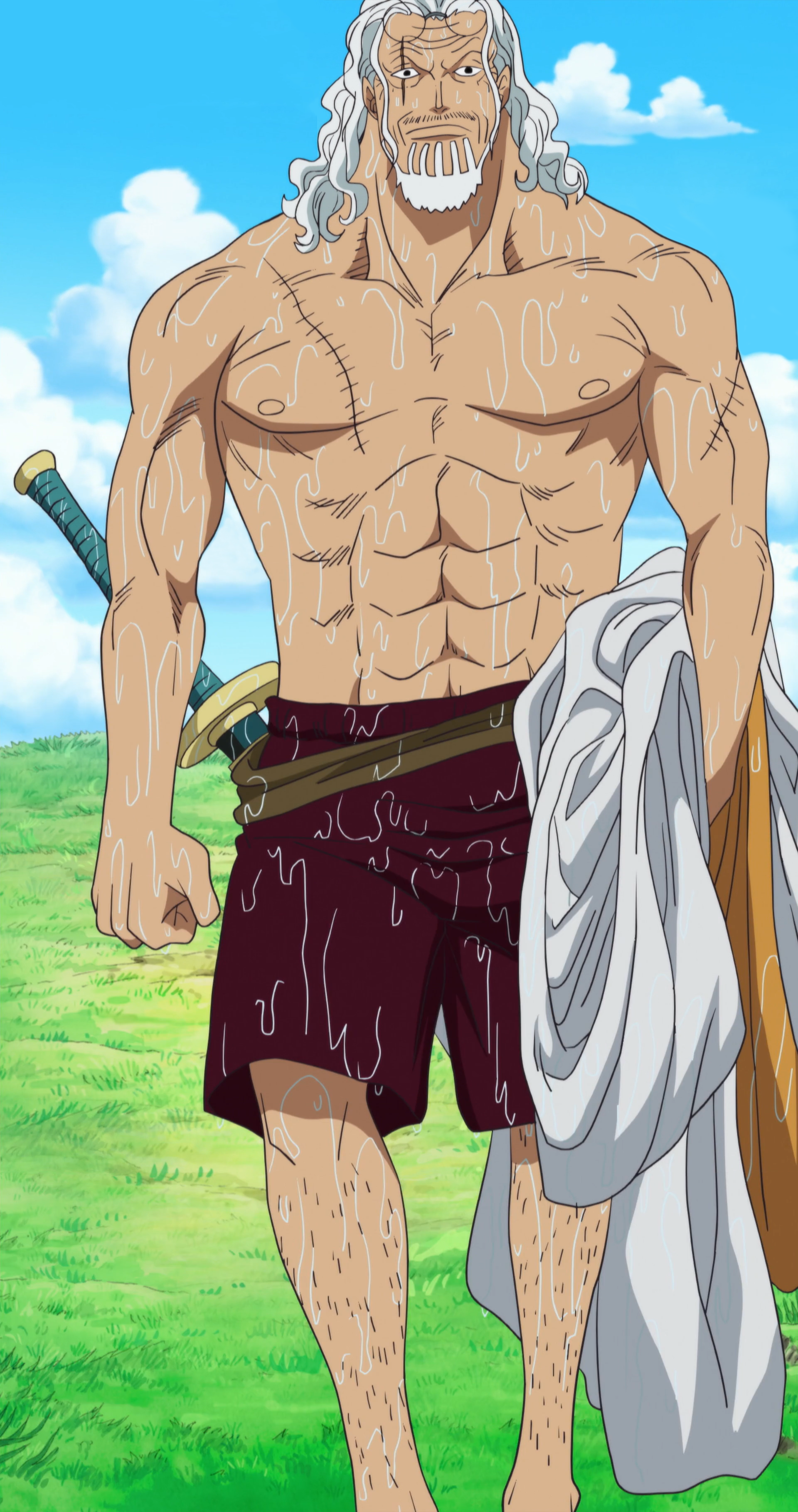 Humans | One Piece Wiki | FANDOM powered by Wikia
