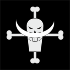 Piratas de Barbablanca bandera