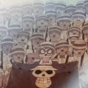 Mustache Pirates | One Piece Wiki | FANDOM powered by Wikia