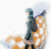 Robin Encounters CP9
